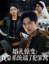 婚礼惊变：我靠系统端了犯罪窝