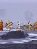 情字这条路