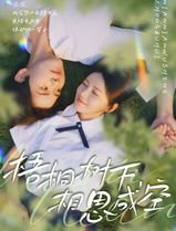 梧桐树下，相思成空