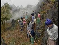 鱼公主红鲤公主