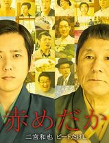 红鳉鱼