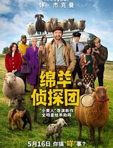 绵羊侦探团