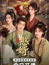 贤婿之憨婿