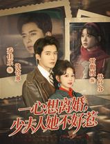 一心想离婚，少夫人她不好惹