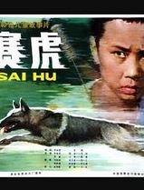 赛虎