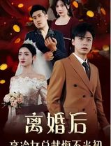离婚后，高冷女总裁悔不当初