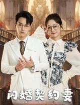 闪婚契约妻