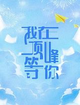 我在顶峰等你