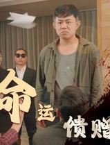 命运馈赠