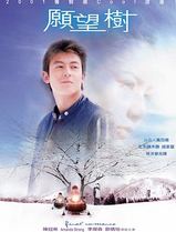 愿望树
