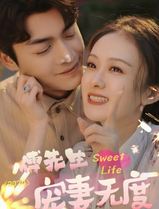 傅先生宠妻无度