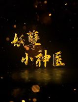 回村小伙是侠医