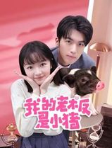 我的老板是小猪