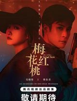 梅花红桃