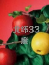 北纬33度