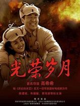 光荣岁月(2007)