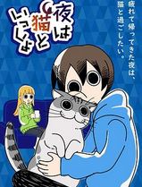 关于养猫我一直是新手