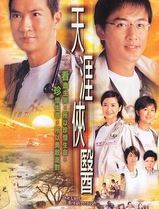 天涯侠医
