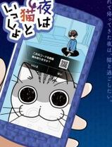 今晚有猫伴身边