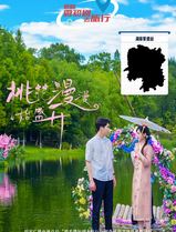 桃花漫漫始盛开