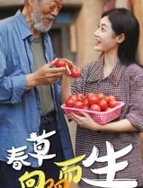 春草向阳而生