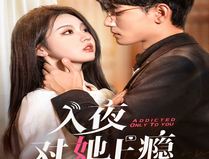 入夜对她上瘾