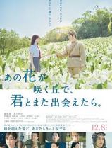 与你再遇鲜花盛开之丘