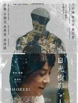日光树影