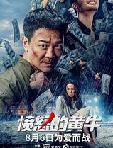 愤怒的黄牛