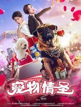 宠物情圣