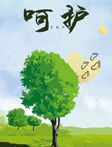 呵护