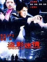 盗影谜情